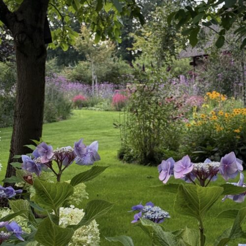 zomer in de bloementuin