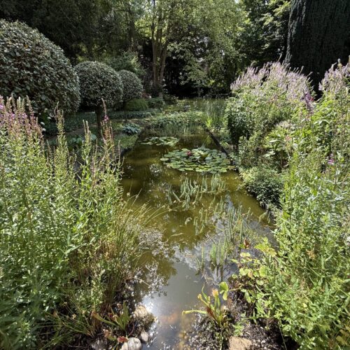 Tuinvijver tussen planten