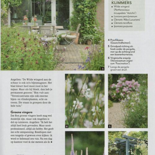 Veel bijen in deze tuin