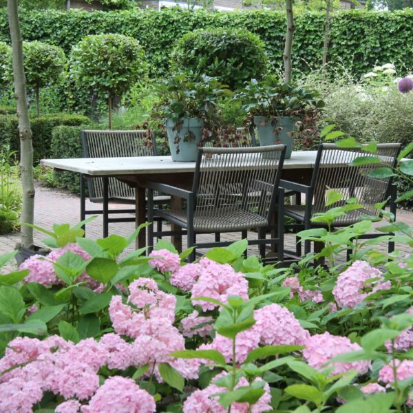 Modern-romantische tuin.