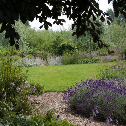 Ruime zijtuin
