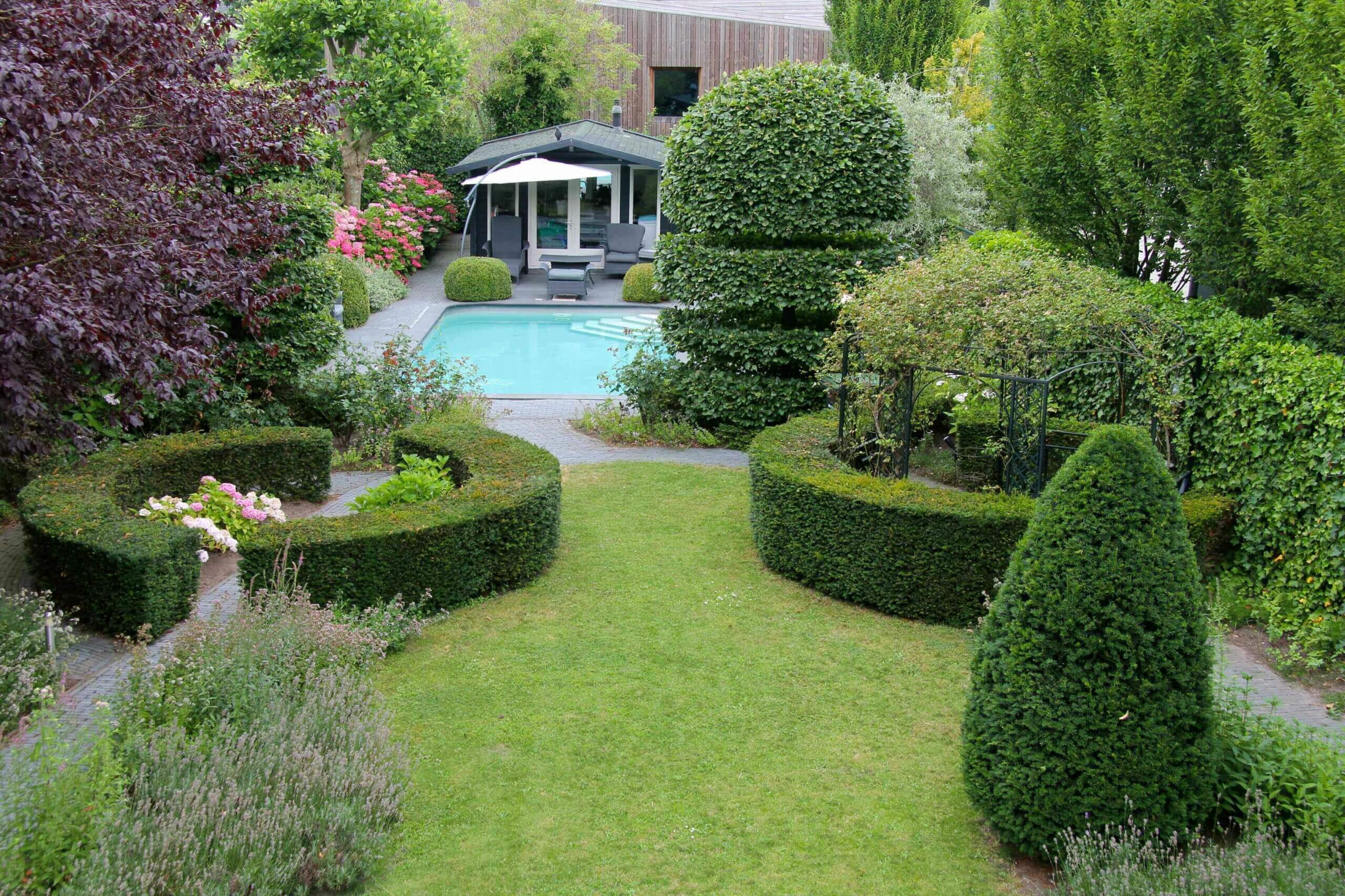 Groene tuin met zwembad