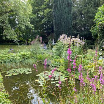 Vijver in een romantische tuin