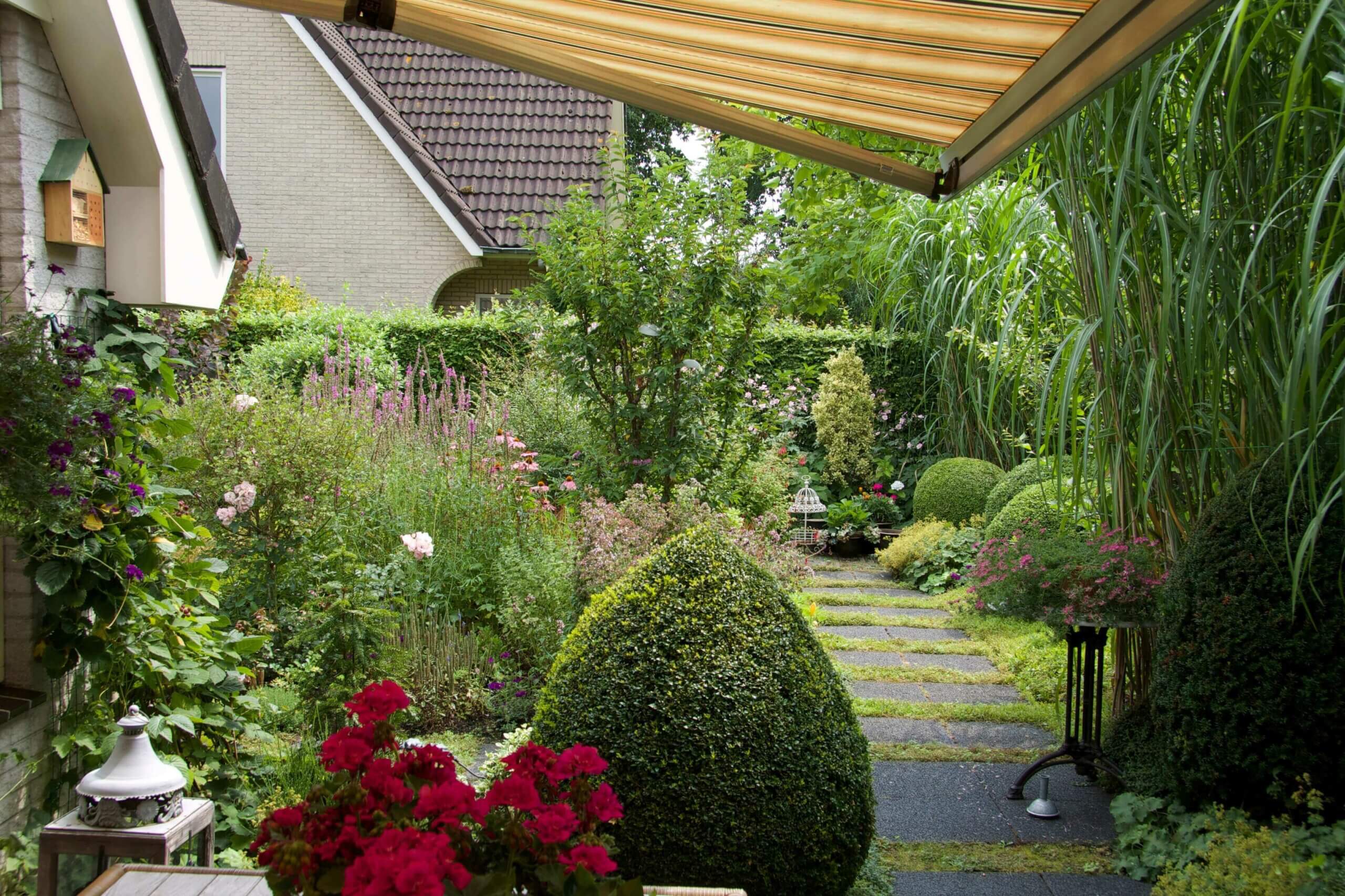 Volgroeide romantische tuin