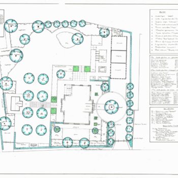 Tuinontwerp beplantingsplan